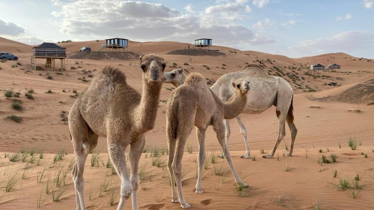 Oman Desert Private Camp Shahiq Exterior photo